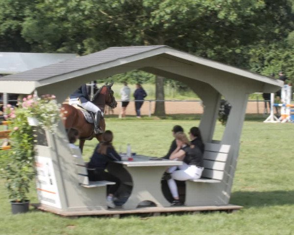 Reitturnier Wohlesbostel 2021
