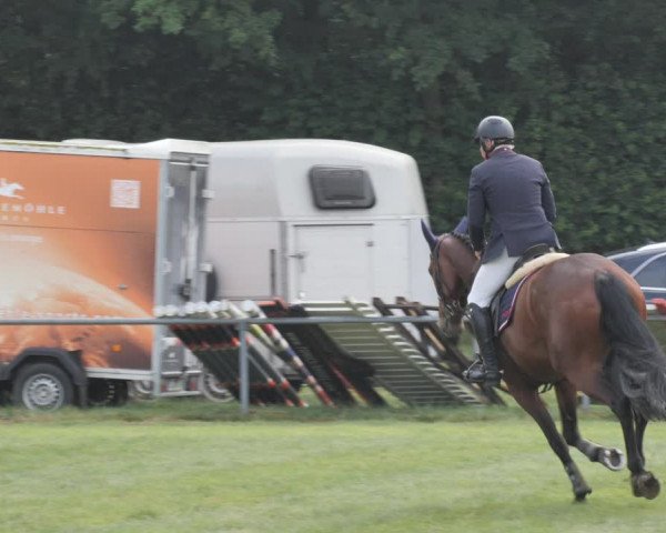 Reitturnier Wohlesbostel 2021