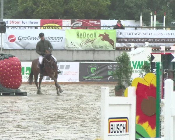 Reitturnier Melle-Ostenfelde 2021