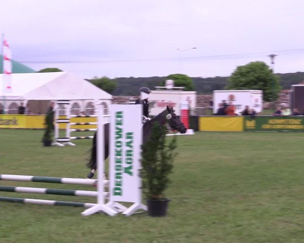 Reitturnier Dersekow 2021