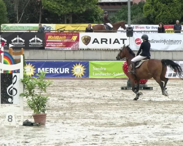 Reitturnier Melle-Ostenfelde 2021