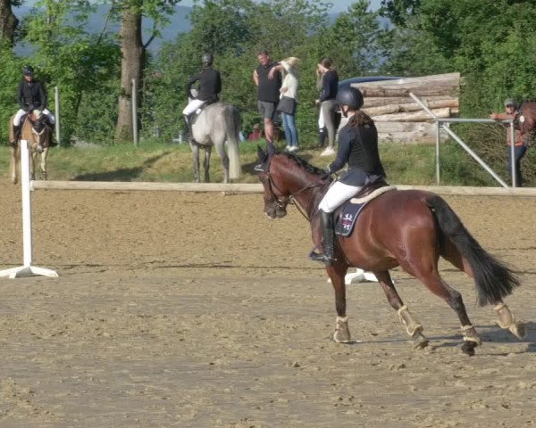 Reitturnier Bad Marienberg - OT Nisterau 2021 - Oberwesterwald
