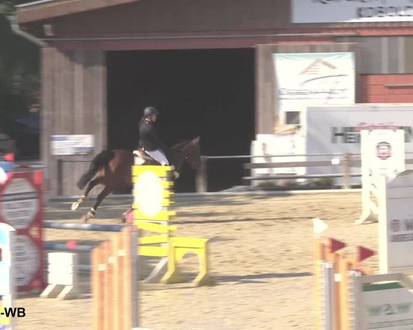 Reitturnier Uder, Reitanlage Kobold 2021