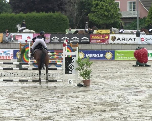 Reitturnier Melle-Ostenfelde 2021