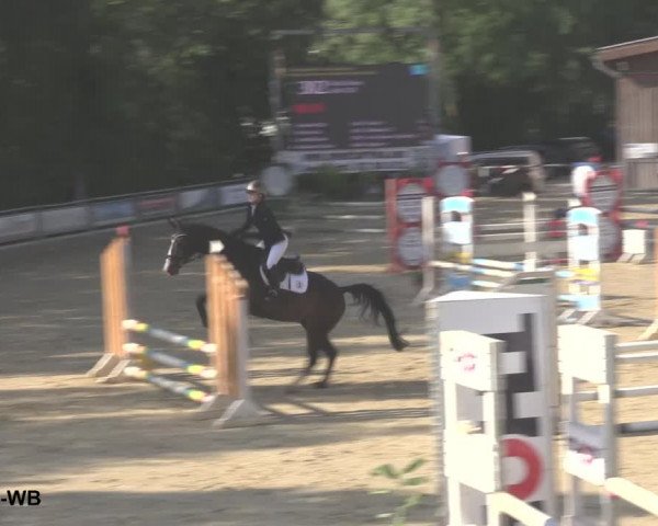 Reitturnier Uder, Reitanlage Kobold 2021