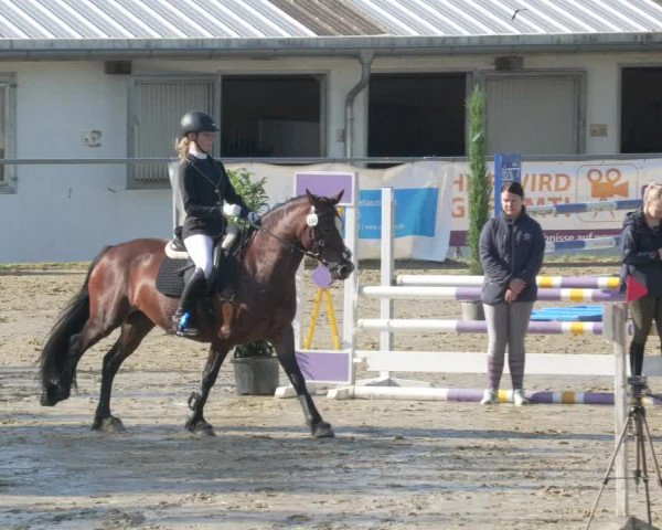 Reitturnier Bad Marienberg - OT Nisterau 2021 - Oberwesterwald
