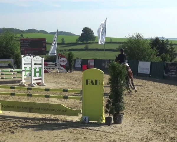 Reitturnier Lindlar-Süttenbach 2021