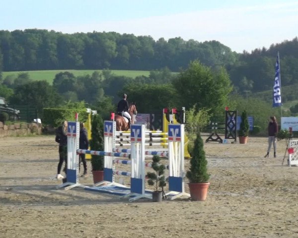 Reitturnier Lindlar-Süttenbach 2021