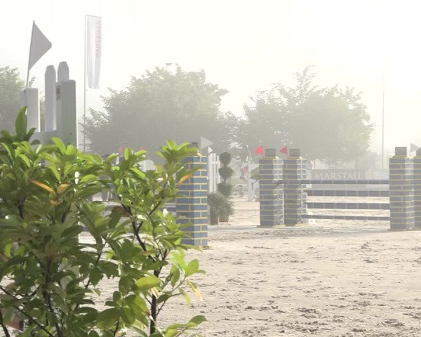Reitturnier Balsthal 2021