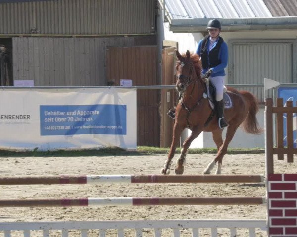 Reitturnier Bad Marienberg - OT Nisterau 2021 - Oberwesterwald