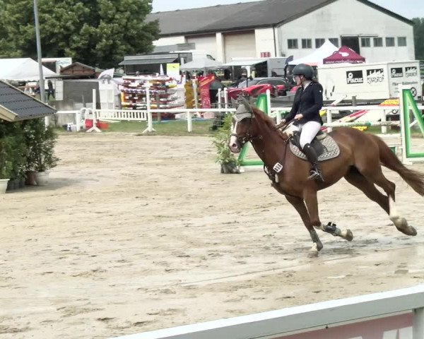 Reitturnier Melle-Ostenfelde 2021