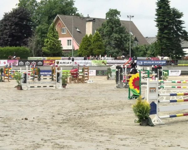 Reitturnier Melle-Ostenfelde 2021