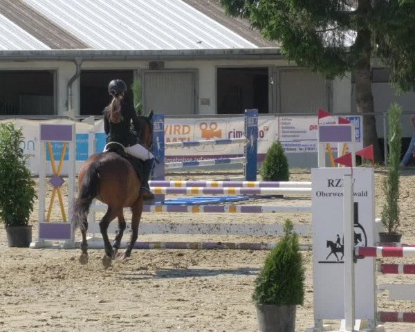 Reitturnier Bad Marienberg - OT Nisterau 2021 - Oberwesterwald