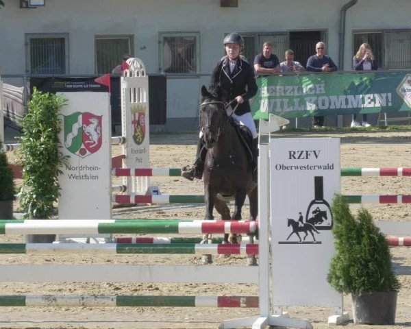 Reitturnier Bad Marienberg - OT Nisterau 2021 - Oberwesterwald