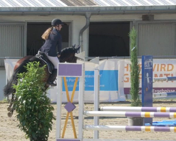 Reitturnier Bad Marienberg - OT Nisterau 2021 - Oberwesterwald
