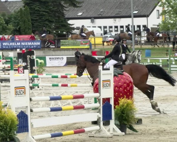 Reitturnier Melle-Ostenfelde 2021