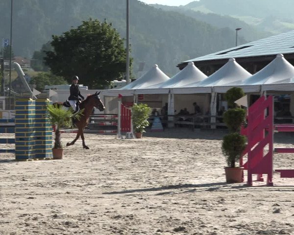 Reitturnier Balsthal 2021