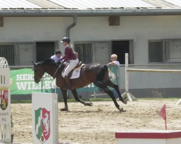 Reitturnier Bad Marienberg - OT Nisterau 2021 - Oberwesterwald