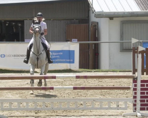 Reitturnier Bad Marienberg - OT Nisterau 2021 - Oberwesterwald