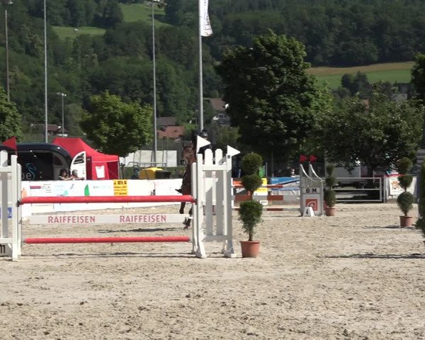 Reitturnier Balsthal 2021