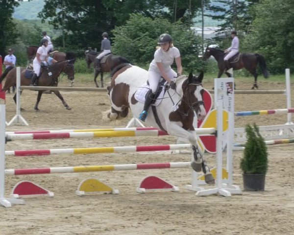 Reitturnier Bad Marienberg - OT Nisterau 2021 - Oberwesterwald