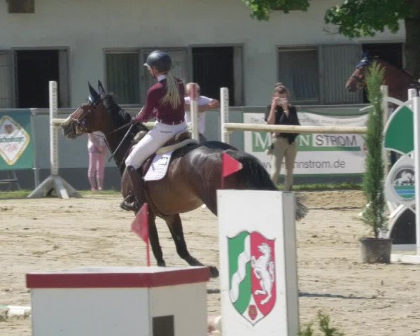 Reitturnier Bad Marienberg - OT Nisterau 2021 - Oberwesterwald
