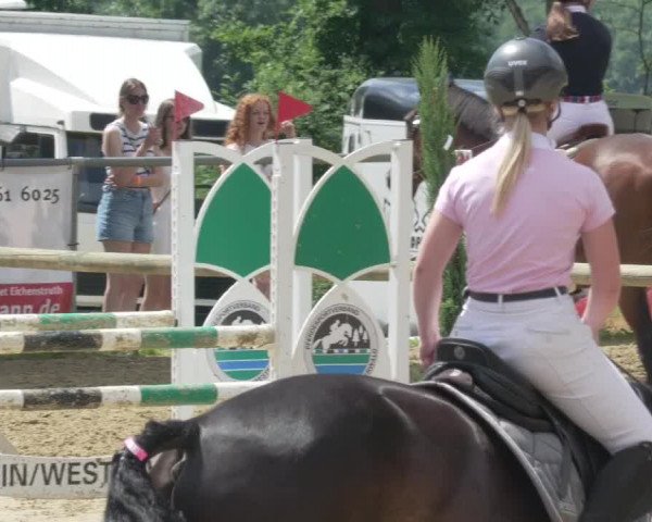 Reitturnier Bad Marienberg - OT Nisterau 2021 - Oberwesterwald