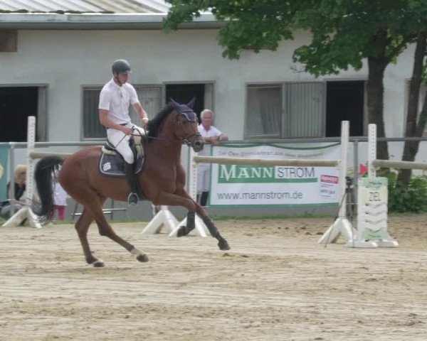 Reitturnier Bad Marienberg - OT Nisterau 2021 - Oberwesterwald