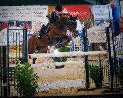 stallion Fs Chiwago (Rhinelander, 1995, from FS Cocky Dundee)