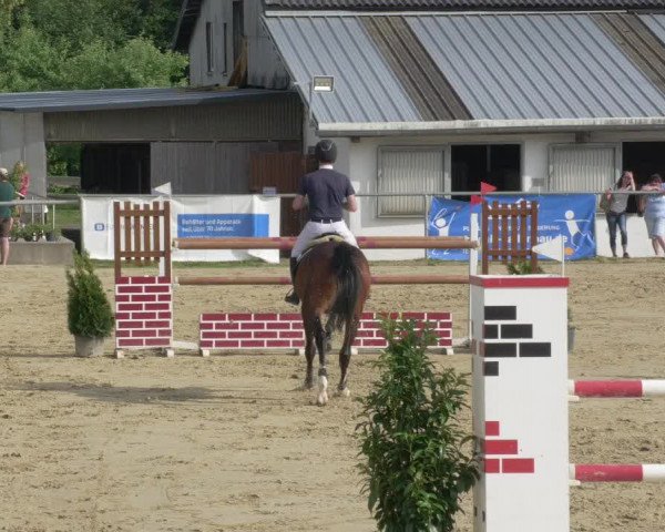 Reitturnier Bad Marienberg - OT Nisterau 2021 - Oberwesterwald