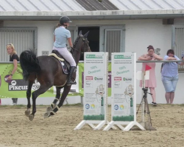 Reitturnier Bad Marienberg - OT Nisterau 2021 - Oberwesterwald