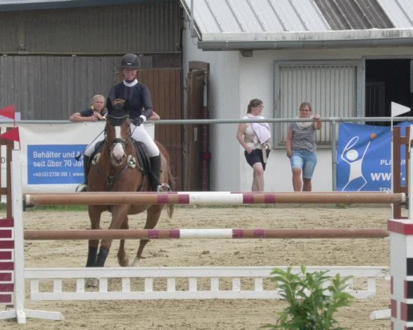 Reitturnier Bad Marienberg - OT Nisterau 2021 - Oberwesterwald