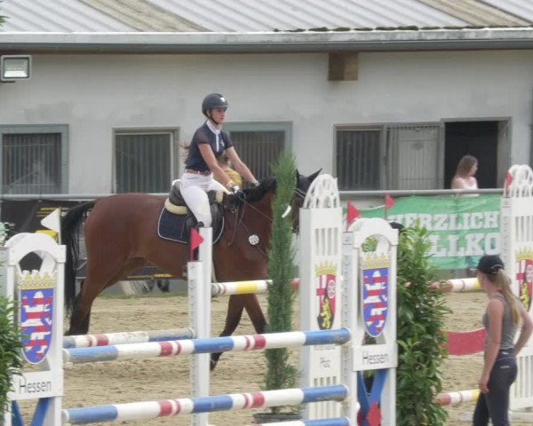 Reitturnier Bad Marienberg - OT Nisterau 2021 - Oberwesterwald