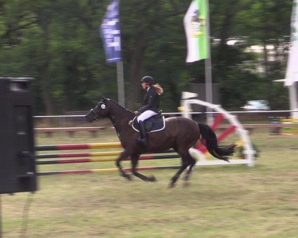 Reitturnier Niederwerbig 2021