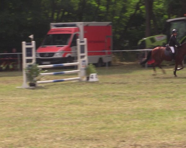 Reitturnier Niederwerbig 2021