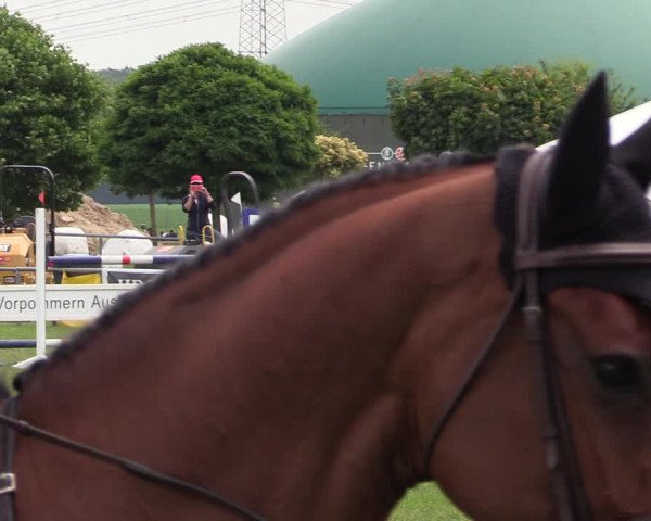 Reitturnier Dersekow 2021