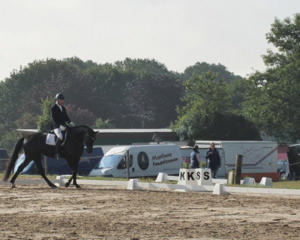 Reitturnier Wohlesbostel 2021