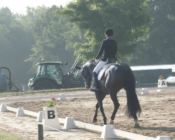 Reitturnier Wohlesbostel 2021