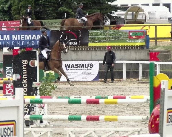 Reitturnier Melle-Ostenfelde 2021