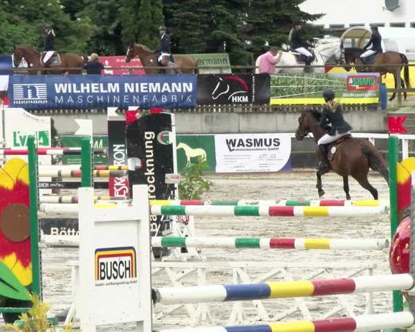 Reitturnier Melle-Ostenfelde 2021