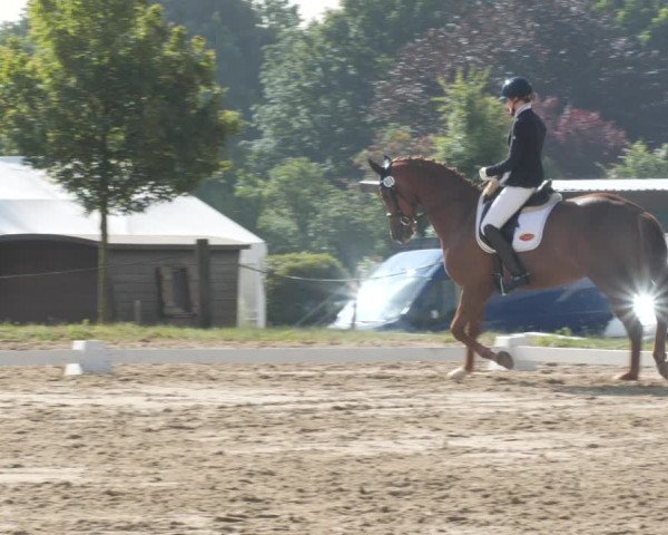Reitturnier Wohlesbostel 2021
