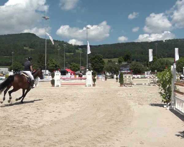 Reitturnier Balsthal 2021