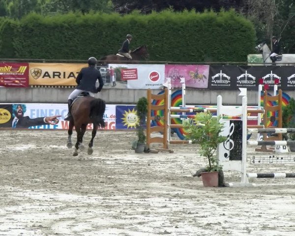 Reitturnier Melle-Ostenfelde 2021