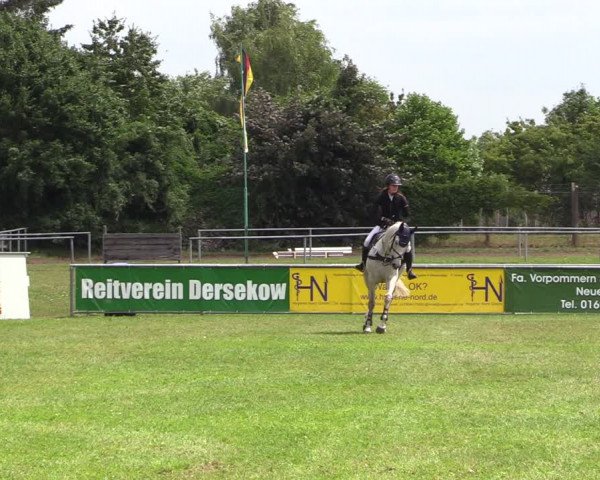 Reitturnier Dersekow 2021