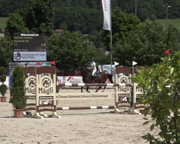 Reitturnier Balsthal 2021