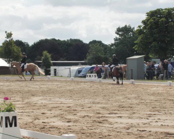 Reitturnier Wohlesbostel 2021