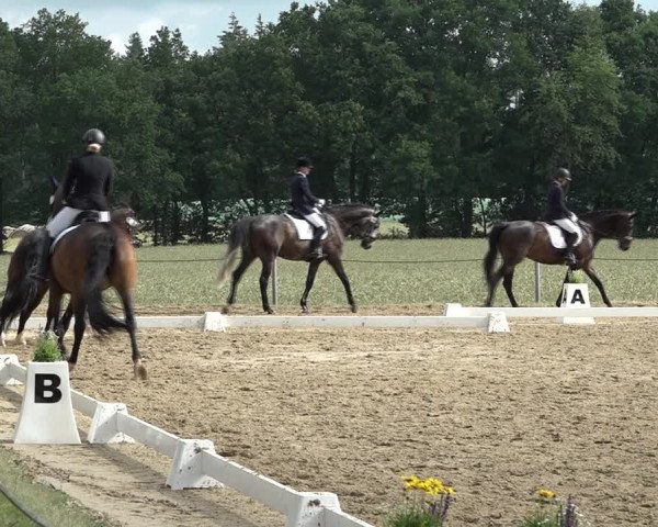 Reitturnier Wohlesbostel 2021