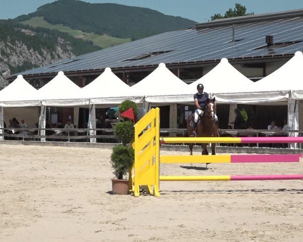 Reitturnier Balsthal 2021