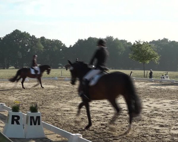 Reitturnier Wohlesbostel 2021