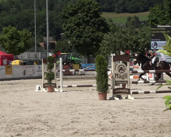 Reitturnier Balsthal 2021